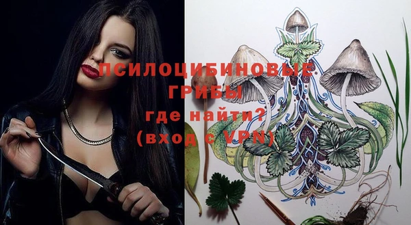 герыч Алексин