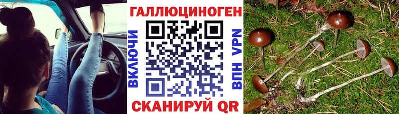 хочу   Котовск  Галлюциногенные грибы Magic Shrooms 